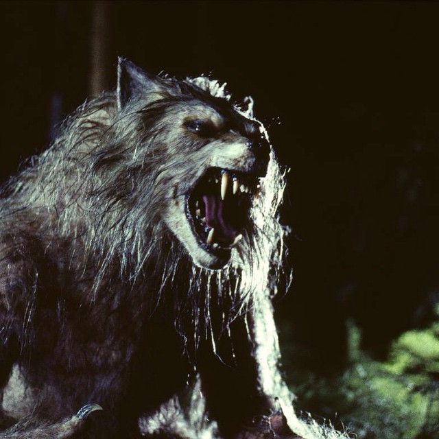 bad-moon - BM-Werewolf.jpg
