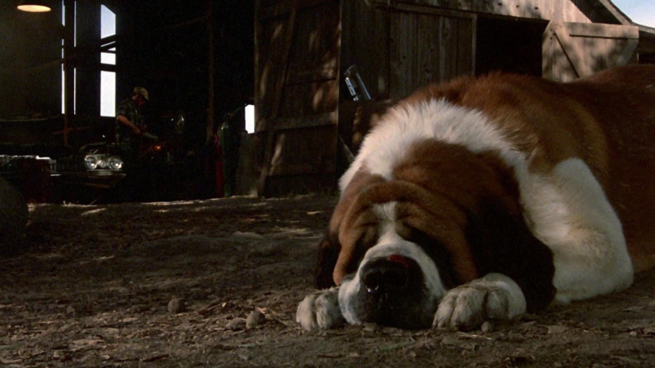 cujo - Cujo-Before.jpg