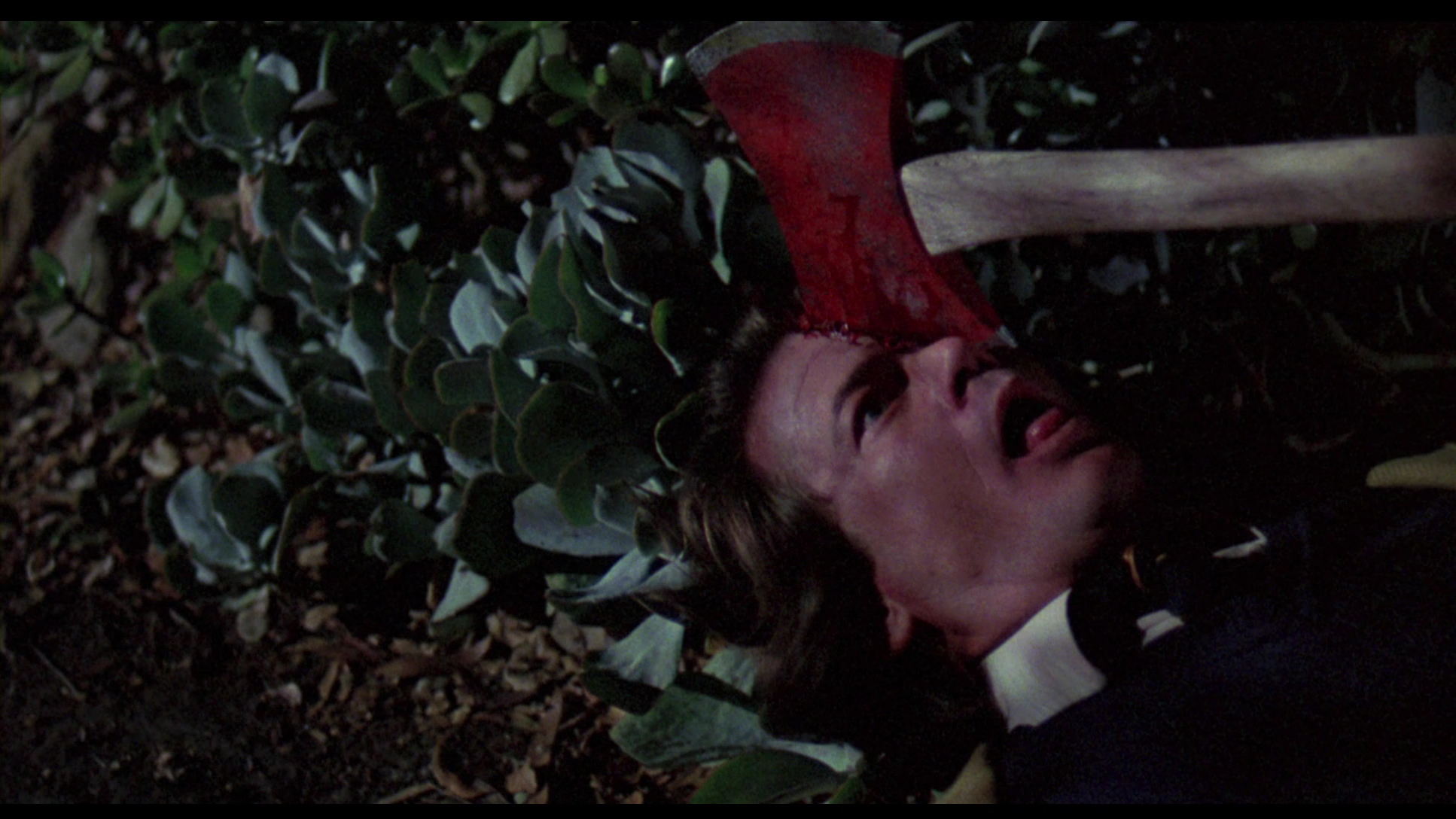 to-all-a-good-night - To-All-a-Good-Night-Murder.jpg