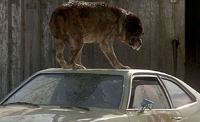 cujo - Cujo-Car.jpg