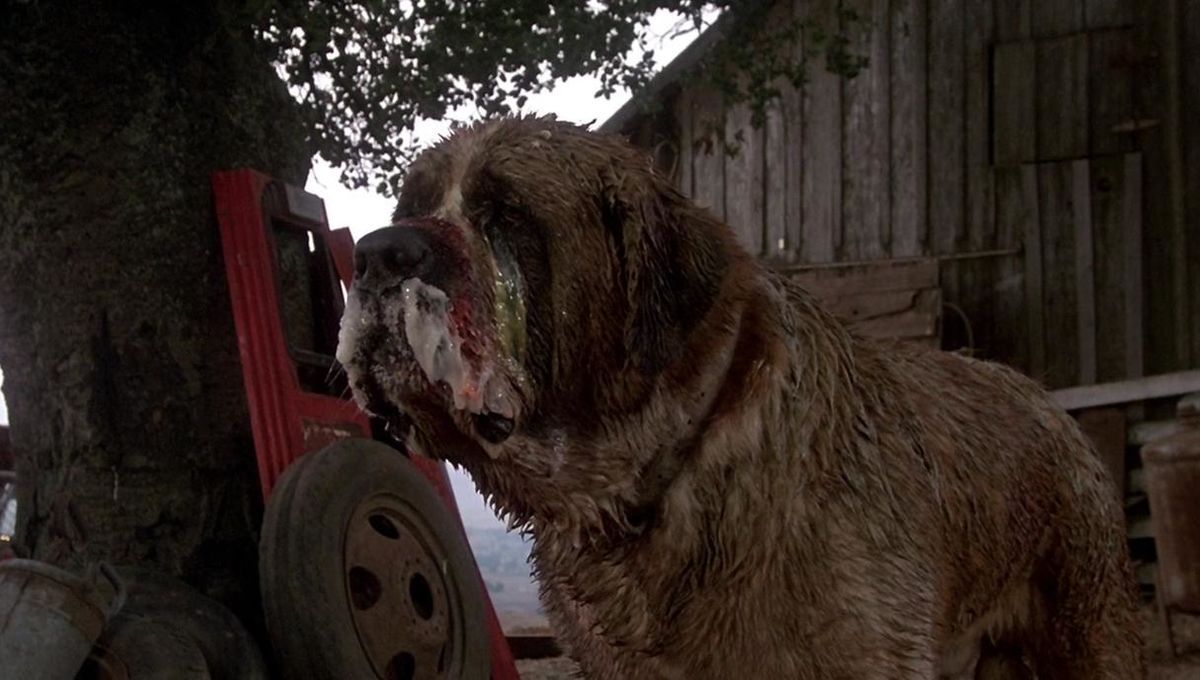 Cujo (1983) | Oddur B.T. | Review